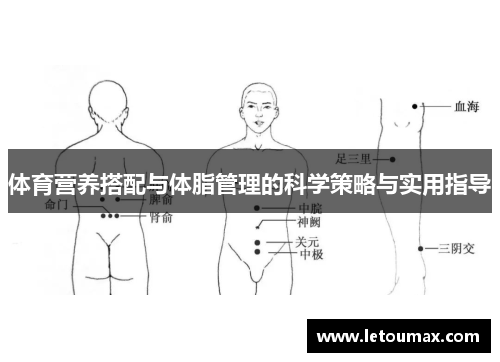 体育营养搭配与体脂管理的科学策略与实用指导